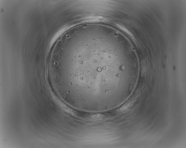 X0000069391467200605121159