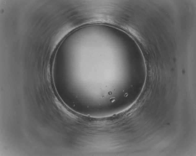 X0000069391468200605121159