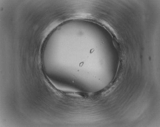 X0000069391469200605121159