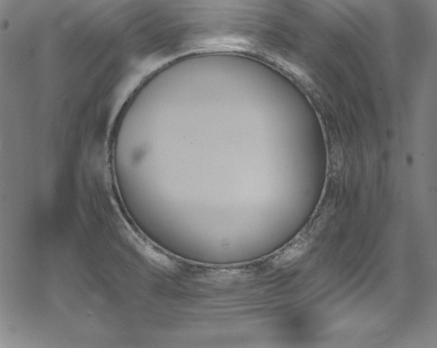 X0000069391470200605121159