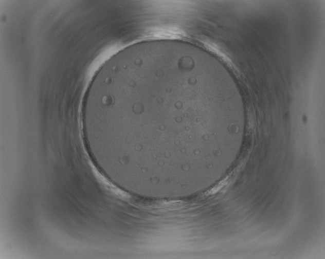 X0000069391471200605121158