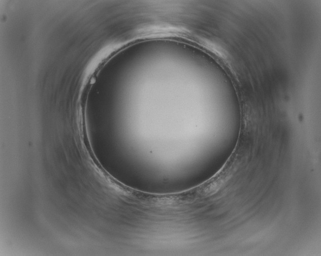 X0000069391472200605121158