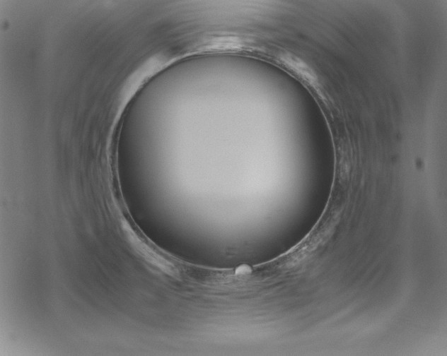 X0000069391475200605121158