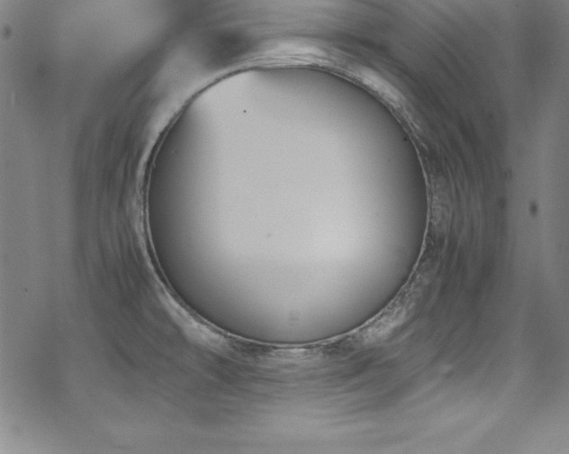 X0000069391478200605121158