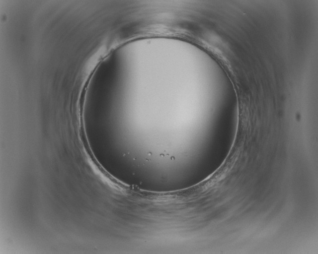 X0000069391479200605121158