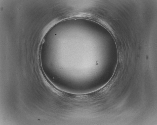 X0000069391483200605121158