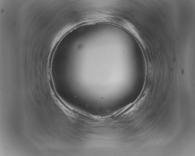 X0000069391485200605121158