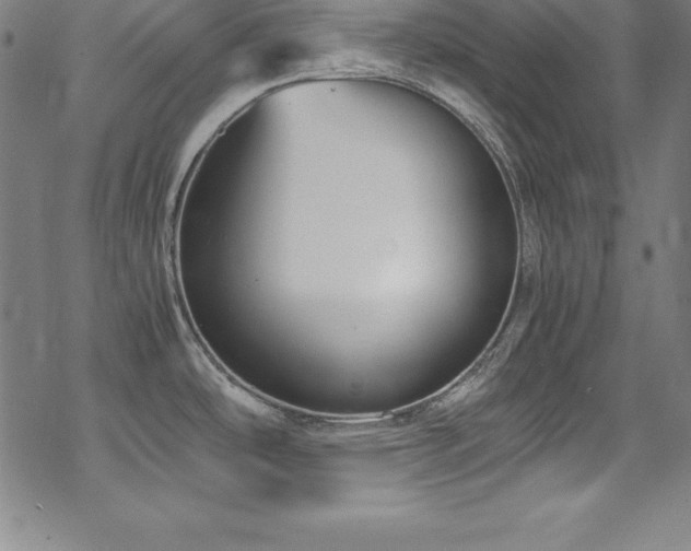 X0000069391486200605121158