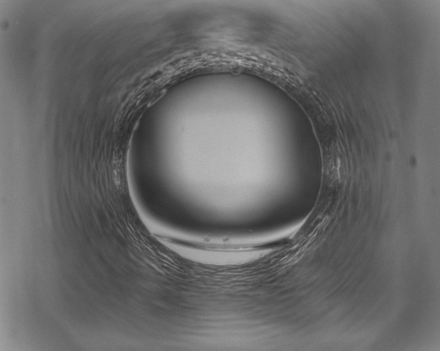 X0000069391490200605121157