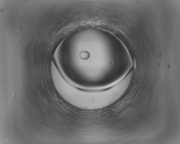 X0000069391492200605121157