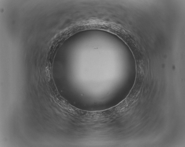 X0000069391493200605121158