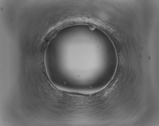 X0000069391494200605121158