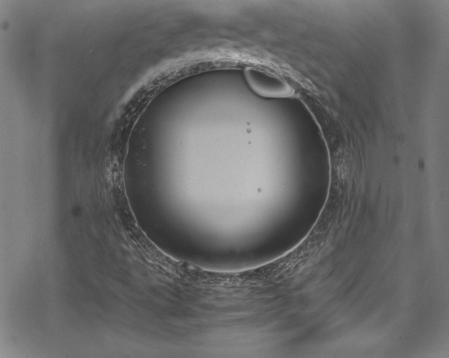 X0000069391495200605121158