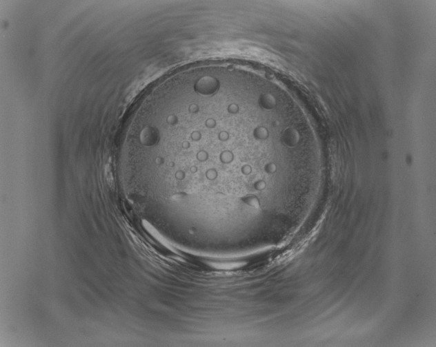 X0000069391497200605121158