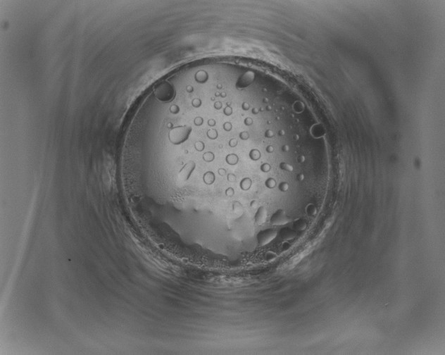 X0000069391505200605121158