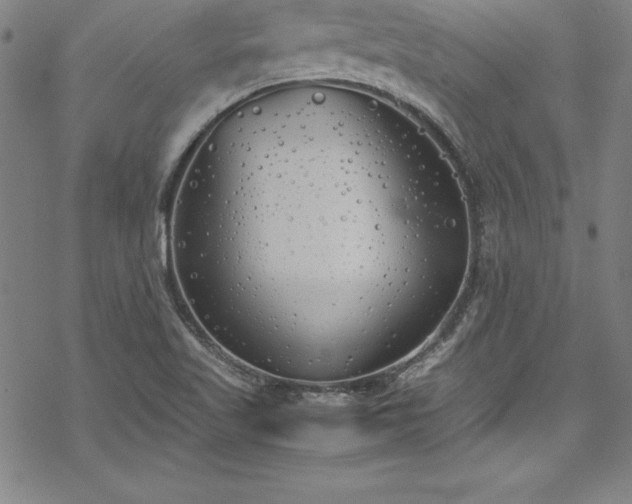 X0000069391509200605121158