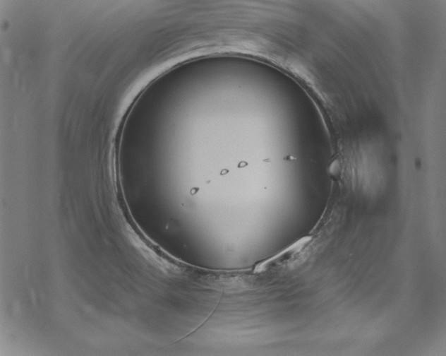 X0000069391516200605121158