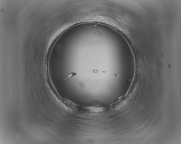 X0000069391517200605121158