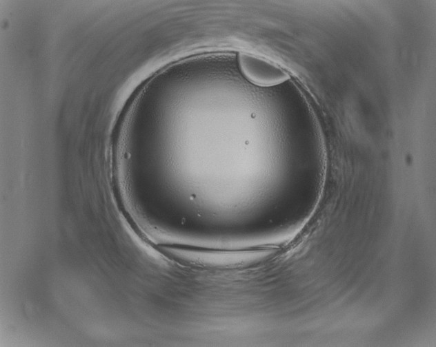 X0000069391519200605121158