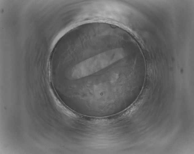 X0000069391522200605121158