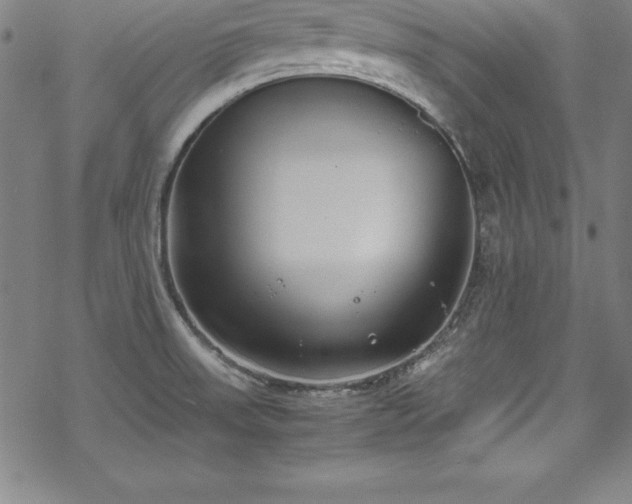 X0000069391523200605121158