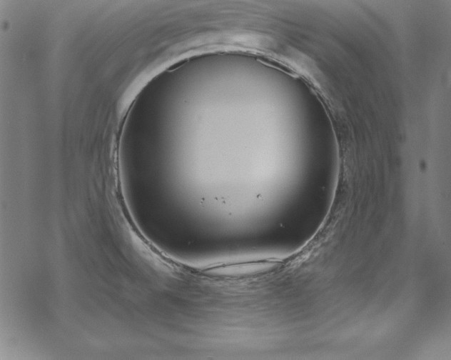 X0000069391524200605121158