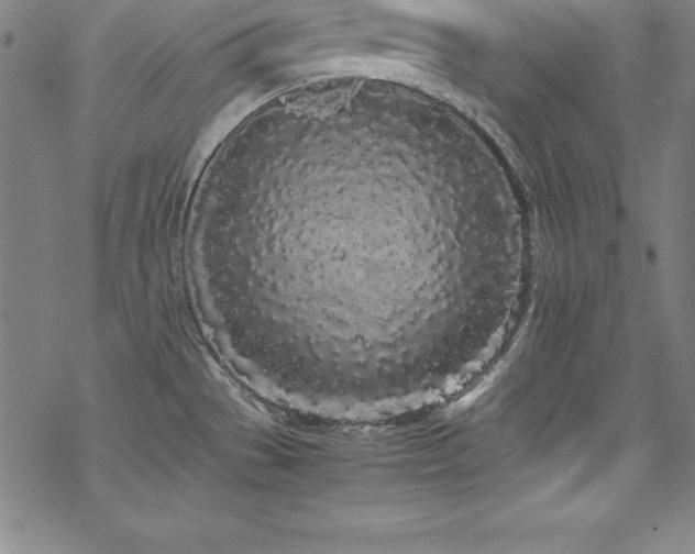 X0000069391529200605121158