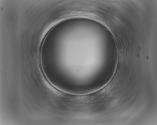 X0000069391531200605121158