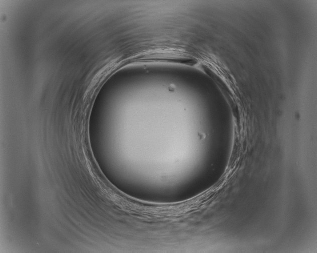 X0000069390001200605150955