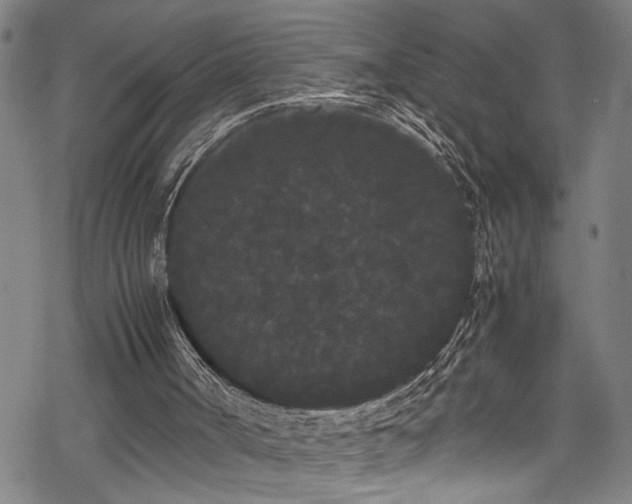 X0000069390002200605150955