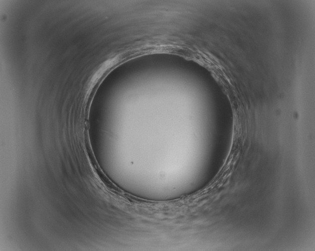 X0000069390003200605150955