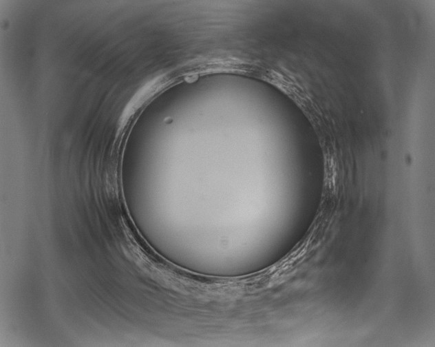 X0000069390004200605150955