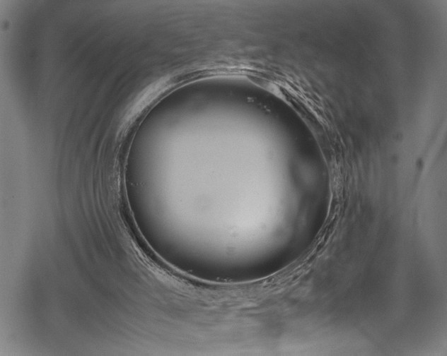 X0000069390005200605150955