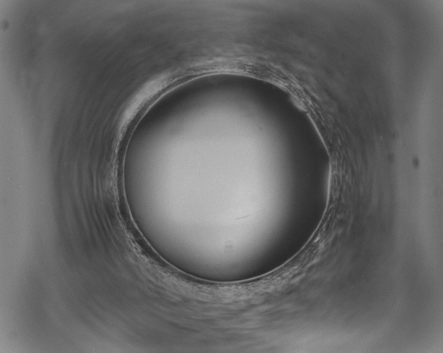 X0000069390006200605150955