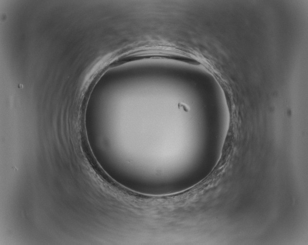 X0000069390007200605150955