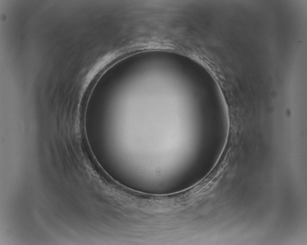 X0000069390008200605150955