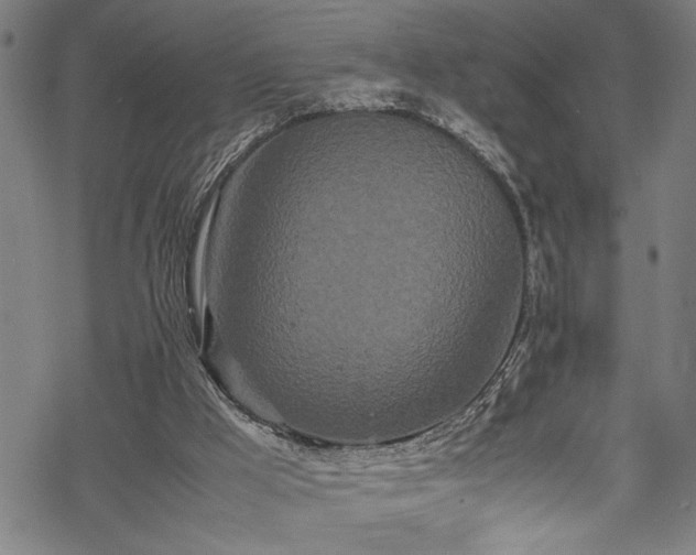 X0000069390009200605150955