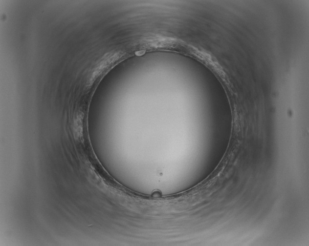 X0000069390010200605150955