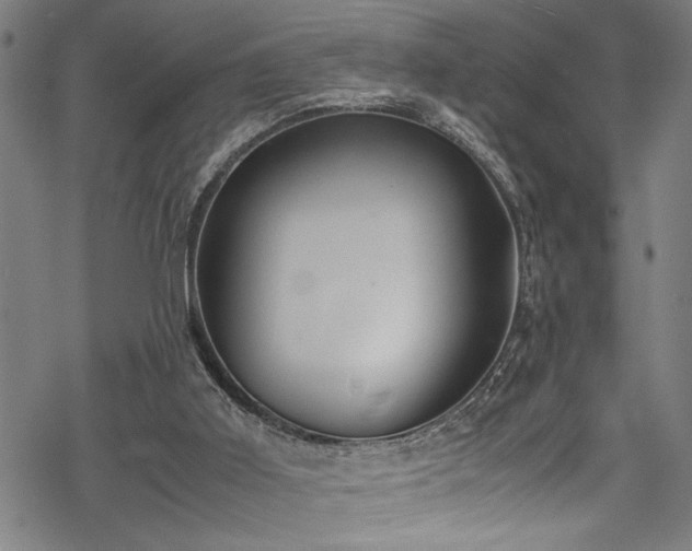 X0000069390011200605150955