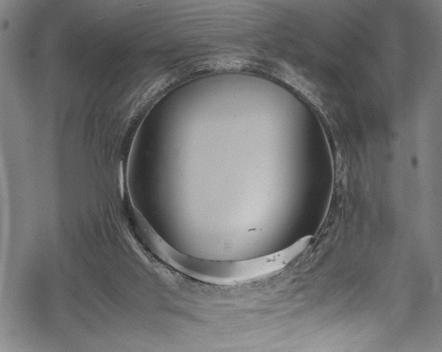 X0000069390013200605150955