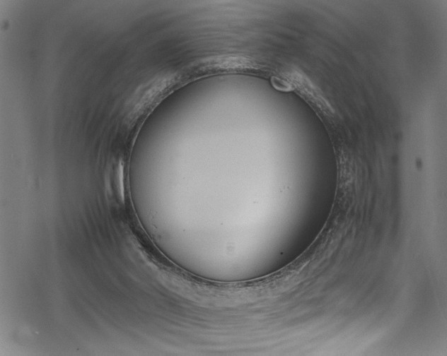 X0000069390014200605150955