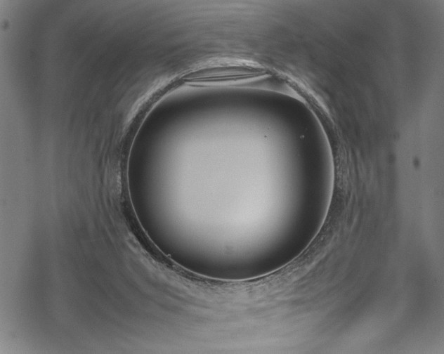 X0000069390015200605150955