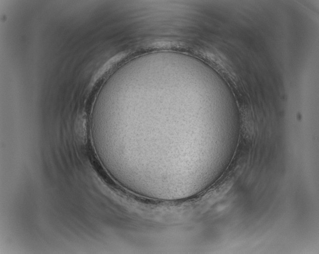 X0000069390016200605150955