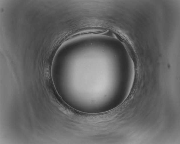 X0000069390017200605150955