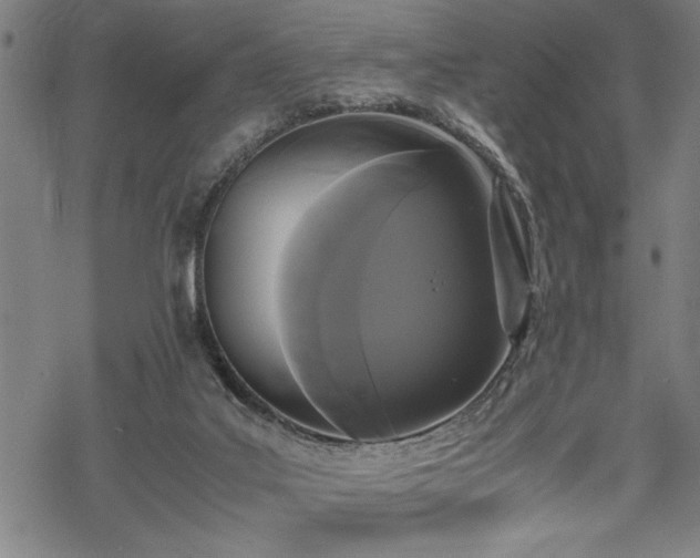 X0000069390019200605150955