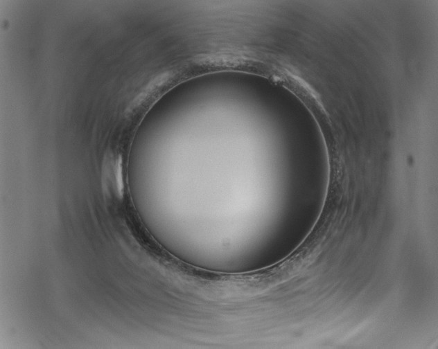 X0000069390020200605150955