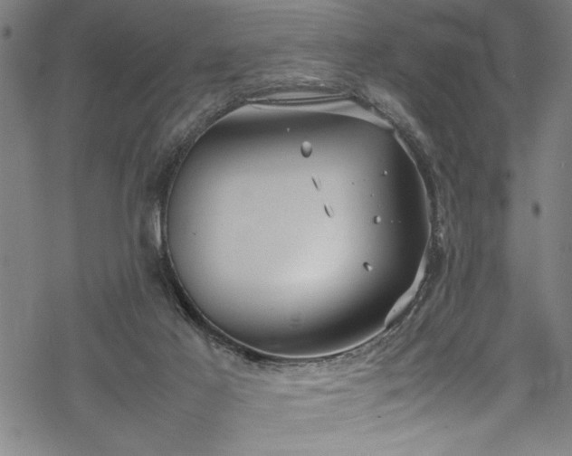 X0000069390021200605150955