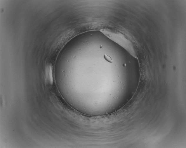 X0000069390022200605150955