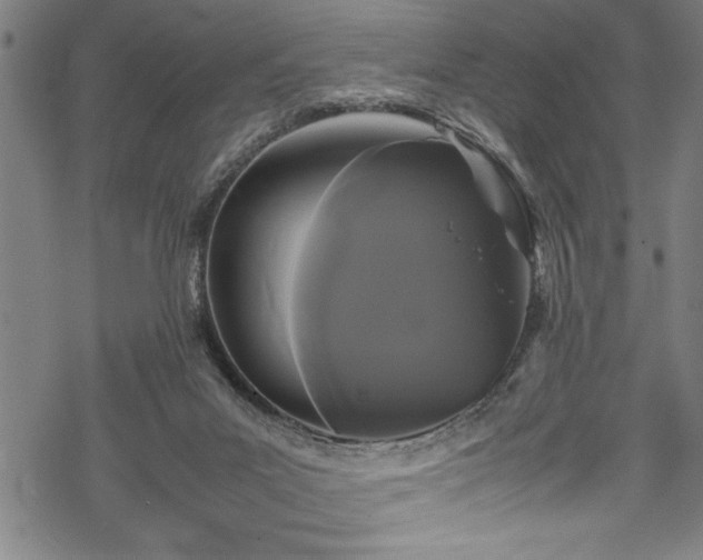 X0000069390023200605150955