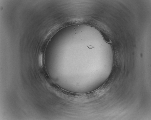 X0000069390024200605150955